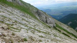 Pohľad na lokalitu