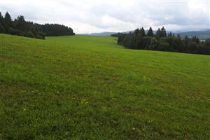 centrálna časť lokality, pohľad na V