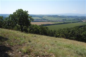 pohľad z miesta súradníc od predch. mapovateľa avšak asi kúsok vedľa
