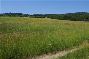 pohľad na lokalitu zospodu