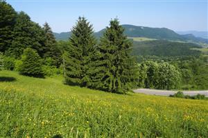 pohľad z lokality smerom na Hoľazne