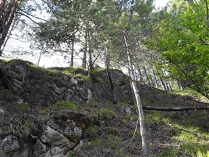 opakované foto k 1. cyklu