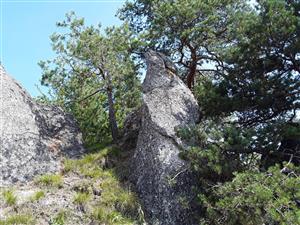 opakované foto k 1. cyklu