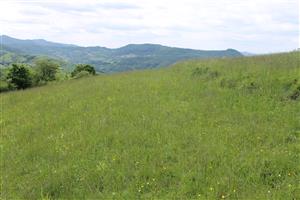 pohľad na TML-západná časť