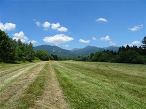 východná vykosená lúka