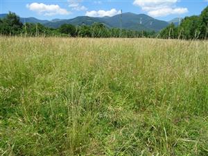 pohľad na západnú lúku