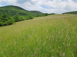 pohlad zo zapadnej casti TML