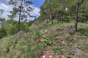 Pohľad na TML_6110_106