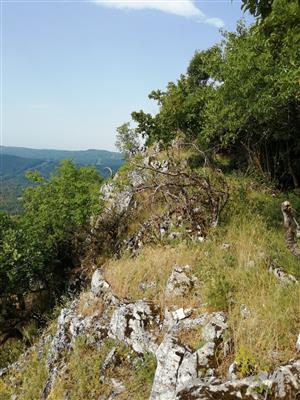 TMP1_TML_StenEura_002