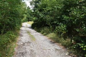 Celkový pohľad na biotop