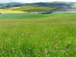Pohľad na lokalitu z vrchu svahu dolu k motorestu.