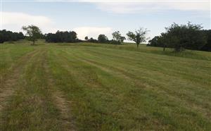 pohlad na plochu, z rovnakých súradníc pri mapovaní v 2014, strom na fotke z 2014 je vľavo