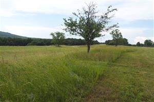 severná časť lokality