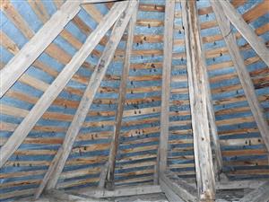 letná kolónia Rhinolophus hipposideros