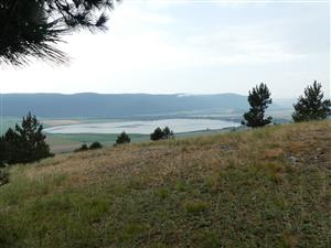 TMP1_TML_StenEura_004