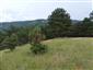 TMP2_TML_StenEura_004