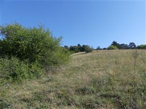 TMP2_TML_StenEura_009