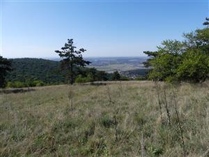 TMP3_TML_StenEura_009