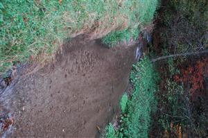 Piesčité sedimenty Hakovského potoka nad meandrom pod sútokom s Kotelnicou.