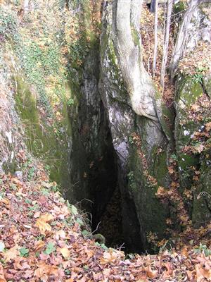 vstup do zimoviska