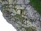 Silikátové skalné steny a svahy so štrbinovou vegetáciou (8.7.2021)