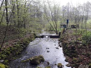 limnigraf pod výverom