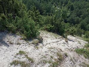 Na strmších svahoch erodujú dolomitové svahy s riedkou vegetáciou