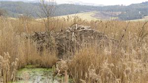 hrad