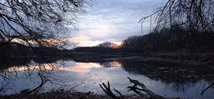 Pohľad na TML Číčovské mŕtve rameno, západné časti, foto: 19.11.2021, J.Lengyel.