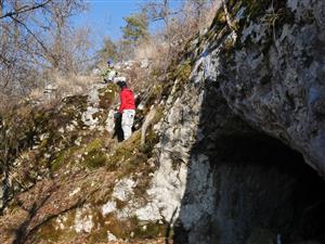 čistenie vstupu jaskyne od náletových drevín – aktivita pre vytvorenie letových koridorov pre Msch
