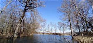 Celkový pohľad na TML Veľký les, JV rybníček v smere od západu, foto: 1.3.2022, J.Lengyel