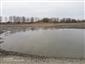 Pohľad na južný Číčovský rybník, TML, výskytové biotopy Lutra lutra. Foto: 15.3.2022, J.Lengyel.
