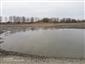 Vydra riečna  (15.3.2022)