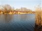 Pohľad na bývalé rameno Žitavy, TML Virtské jazero, foto: 24.3.2022, J.Lengyel.