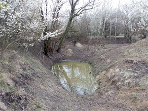 Pohľad na TML Slanisko Akomáň, jazierko, Šurany, výskyt. biotop B.bombina, foto: 1.4.2022, J.Lengyel.