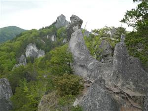 pohľad na lokalitu