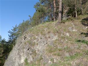 Východná časť TML - biotop Tr5 nad skalnou stenou.