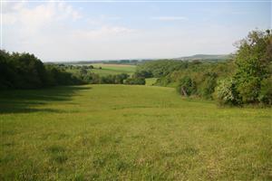 Celkový pohľad na biotop smerom na S