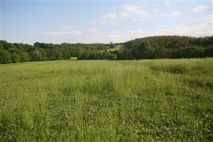 Celkový pohľad na biotop smerom na J