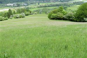 Chrapkovo - lúka fotená z horného pravého rohu smer na cestu