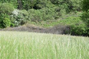 Chrapkovo - lúka, pohľad na pravý dolný roh lúky - hospodárska činnosť