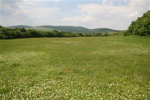 Celkový pohľad na biotop smerom na S
