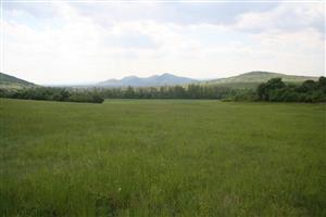 Celkový pohľad na biotop smerom na JZ