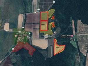 Znázornenie mapovania biotopu (žlté polia)