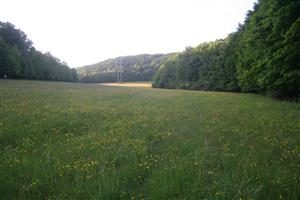 Celkový pohľad na biotop smerom na S