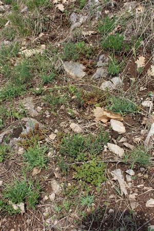 Záber na monitorovaný biotop. 