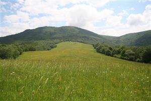 Celkový pohľad na biotop smerom na JV