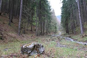 pohlad na plochu