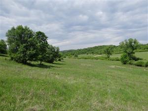 Pohľad na TML_6510_054