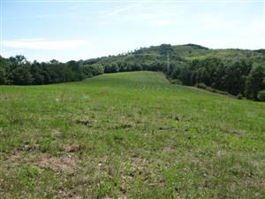 Pohľad na TML_6510_041 zo severného okraja lokality